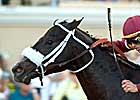 No Stopping Georgie Boy in Del Mar Futurity No Stopping Georgie Boy in Del Mar Futurity