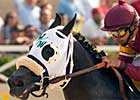 Georgie Boy Romps in Cal Graduation Stakes Georgie Boy Romps in Cal Graduation Stakes