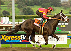 Georgie Boy Spreads Wings in SM Sprint Georgie Boy Spreads Wings in SM Sprint