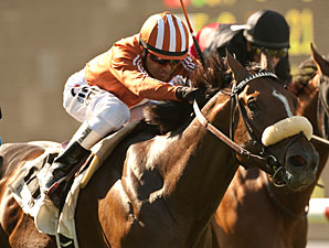 Del Mar Derby Overflows, Split Into Divisions Del Mar Derby Overflows, Split Into Divisions