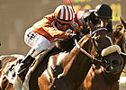 Del Mar Derby Overflows, Split Into Divisions Del Mar Derby Overflows, Split Into Divisions