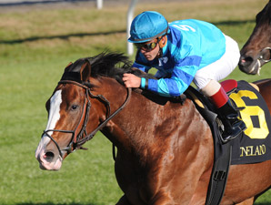 Get Stormy High Weight in Fourstardave 'Cap Get Stormy High Weight in Fourstardave 'Cap