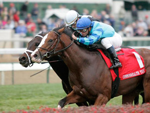 Get Stormy Shows Grit in Commonwealth Turf Get Stormy Shows Grit in Commonwealth Turf