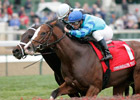 Get Stormy Shows Grit in Commonwealth Turf Get Stormy Shows Grit in Commonwealth Turf