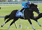 Slideshow: Keeneland Fall Meet 2011 Slideshow: Keeneland Fall Meet 2011