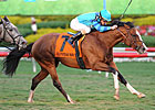 Get Stormy Strikes in Gulfstream Turf 'Cap Get Stormy Strikes in Gulfstream Turf 'Cap