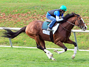 Get Stormy Turns in Lone Work Prior to BC Get Stormy Turns in Lone Work Prior to BC