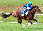 Get Stormy Turns in Lone Work Prior to BC
