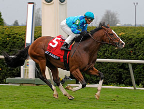 Get Stormy Wires Maker's Mark Mile Get Stormy Wires Maker's Mark Mile