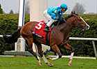 Get Stormy Wires Maker's Mark Mile Get Stormy Wires Maker's Mark Mile