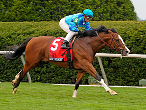 Maker's Mark Contenders Work at Keeneland Maker's Mark Contenders Work at Keeneland