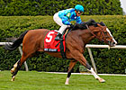 Maker's Mark Contenders Work at Keeneland Maker's Mark Contenders Work at Keeneland
