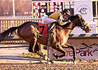 Ghost Bay Breaks Maiden in Maryland Juvenile Ghost Bay Breaks Maiden in Maryland Juvenile