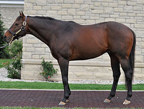 Ghostzapper, Velazquez, Attfield New to HOF Ghostzapper, Velazquez, Attfield New to HOF