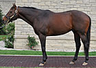 Ghostzapper, Velazquez, Attfield New to HOF Ghostzapper, Velazquez, Attfield New to HOF