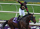 Ghostzapper Wins Classic in Record Time Ghostzapper Wins Classic in Record Time