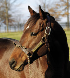 Ghostzapper's Fee Reduced to $30,000 Ghostzapper's Fee Reduced to $30,000
