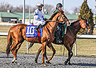 Giant Finish a Late Addition to Derby Field Giant Finish a Late Addition to Derby Field