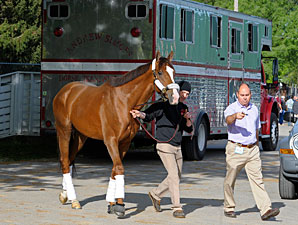 Giant Finish Works Four Furlongs for Belmont Giant Finish Works Four Furlongs for Belmont