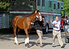 Giant Finish Works Four Furlongs for Belmont Giant Finish Works Four Furlongs for Belmont