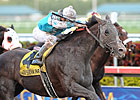 Giant Oak Tops Tough Hawthorne Gold Cup Giant Oak Tops Tough Hawthorne Gold Cup