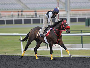 Giant Ryan Named NY Horse of the Year Giant Ryan Named NY Horse of the Year