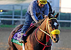 Parboo Says Giant Ryan 'Knows How to Win'