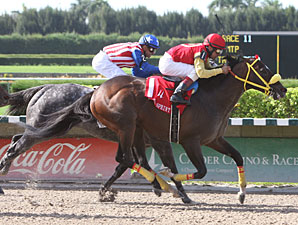 Giant Ryan Takes Smile Sprint With Big Finish Giant Ryan Takes Smile Sprint With Big Finish