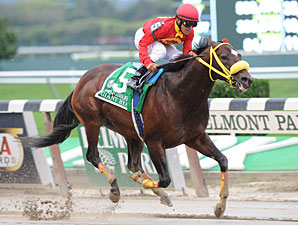 Grade I Winner Giant Ryan Euthanized Grade I Winner Giant Ryan Euthanized