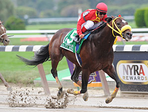 Owner Awaits Word on Surgery for Giant Ryan Owner Awaits Word on Surgery for Giant Ryan