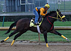 Giant Ryan Breezes at Rainy Churchill
