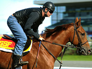 Sam-Son Farm Trying to Win 6th Queen's Plate Sam-Son Farm Trying to Win 6th Queen's Plate