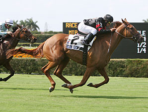 Ginger Brew Favored in Woodbine Oaks Ginger Brew Favored in Woodbine Oaks