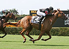 Ginger Brew Favored in Woodbine Oaks