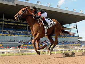 Ginger Brew Romps in Woodbine Oaks Ginger Brew Romps in Woodbine Oaks