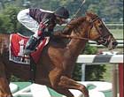 Ginger Punch Takes Wing in First Flight