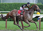 Ginger Punch Tries 10 Furlongs Ginger Punch Tries 10 Furlongs
