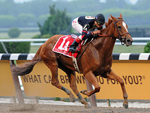 Champion Ginger Punch Retired Champion Ginger Punch Retired