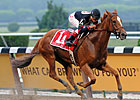 Champ Ginger Punch Impressive in Phipps