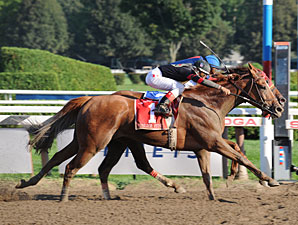 Ginger Punch Prevails in Ensign Thriller Ginger Punch Prevails in Ensign Thriller