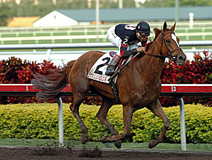 Ginger Punch Romps in Distaff Ginger Punch Romps in Distaff