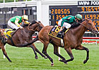 Gio Ponti Much the Best in Arlington Million Gio Ponti Much the Best in Arlington Million