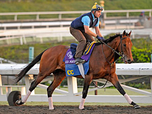 Manhattan Likely for Gio Ponti After Work Manhattan Likely for Gio Ponti After Work