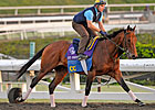 Manhattan Likely for Gio Ponti After Work Manhattan Likely for Gio Ponti After Work