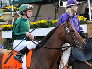 Gio Ponti to Race in 2010 Gio Ponti to Race in 2010