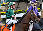 Champion Turf Male: Gio Ponti Champion Turf Male: Gio Ponti