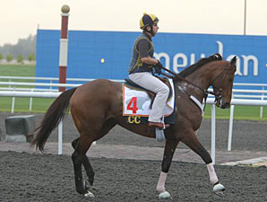 Gio Ponti Energetic in Dubai Appearance Gio Ponti Energetic in Dubai Appearance