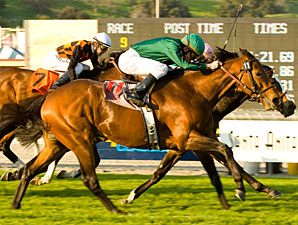 Gio Ponti Denies Ventura in Kilroe Mile Gio Ponti Denies Ventura in Kilroe Mile