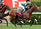 Dubai World Cup Attracts 312 Nominations 