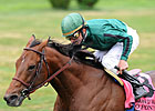 Gio Ponti to Stand at Castleton Lyons Gio Ponti to Stand at Castleton Lyons